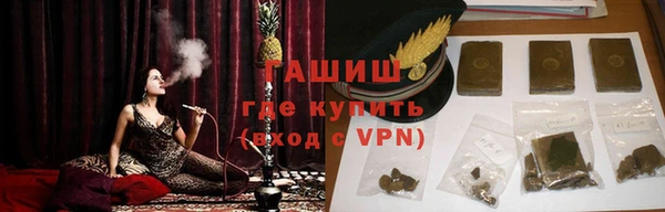 индика Алексин
