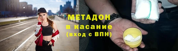 индика Алексин