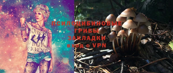 индика Алексин