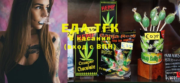 индика Алексин