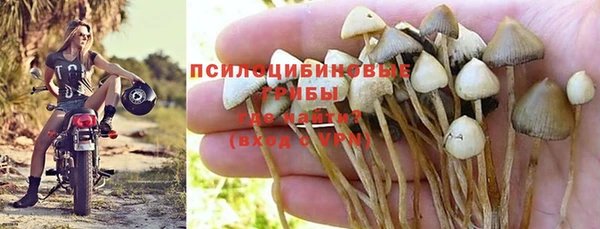 трава Алзамай