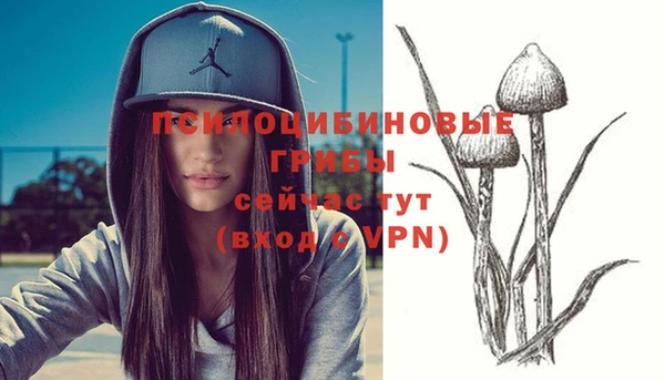 трава Алзамай