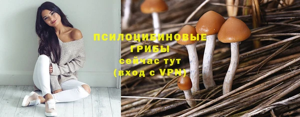 трава Алзамай
