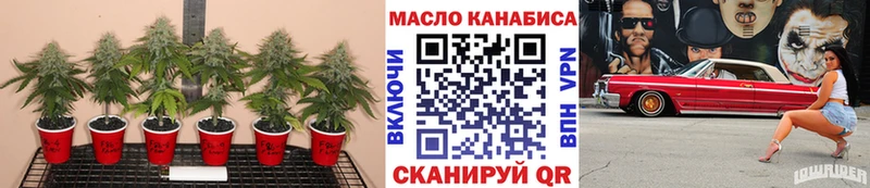 ссылка на мегу ССЫЛКА  Всеволожск  Дистиллят ТГК вейп с тгк 